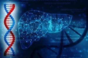 Human liver anatomy with DNA structure, 3d render