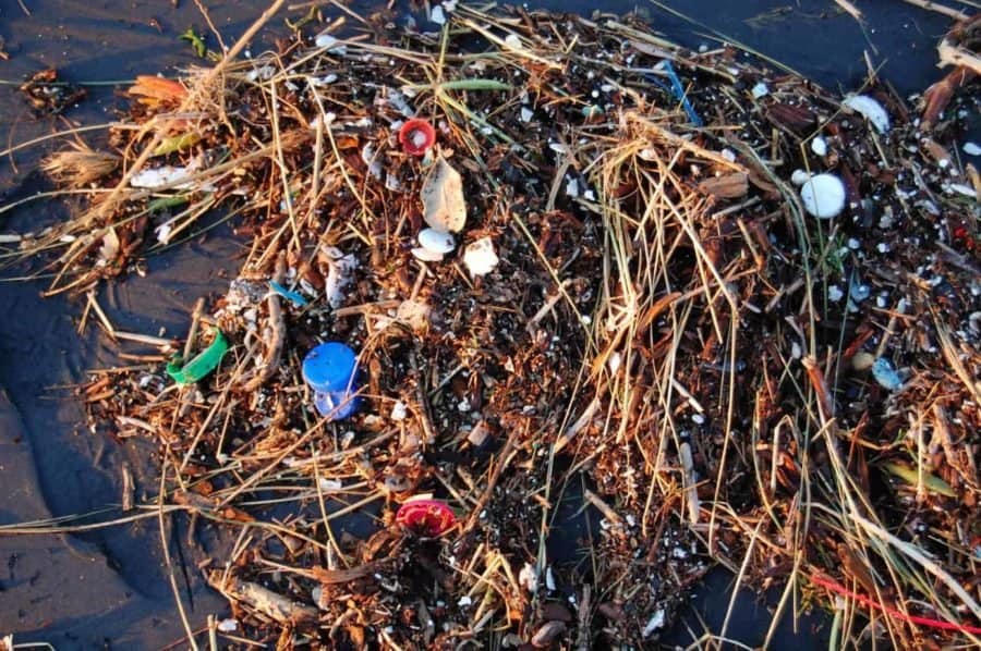 It&#8217;s not just fish, plastic pollution harms the bacteria that help us breathe