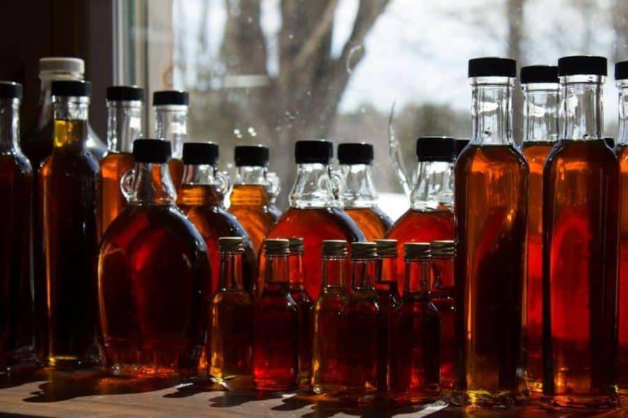 Maple Syrup Production to Decline in New England in the Next Century