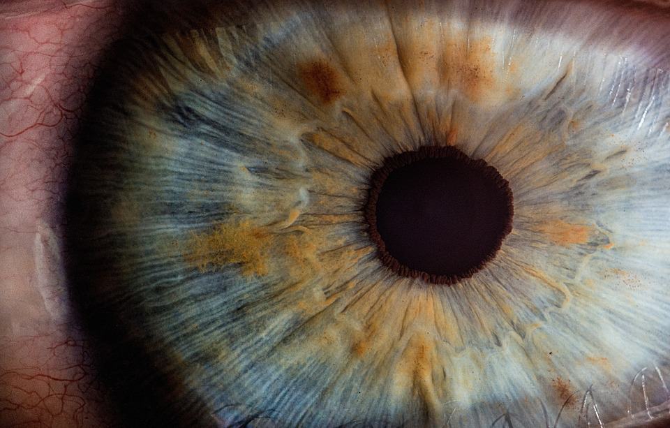 Pupil dilation and heart rate, analyzed by AI, may help spot autism ...