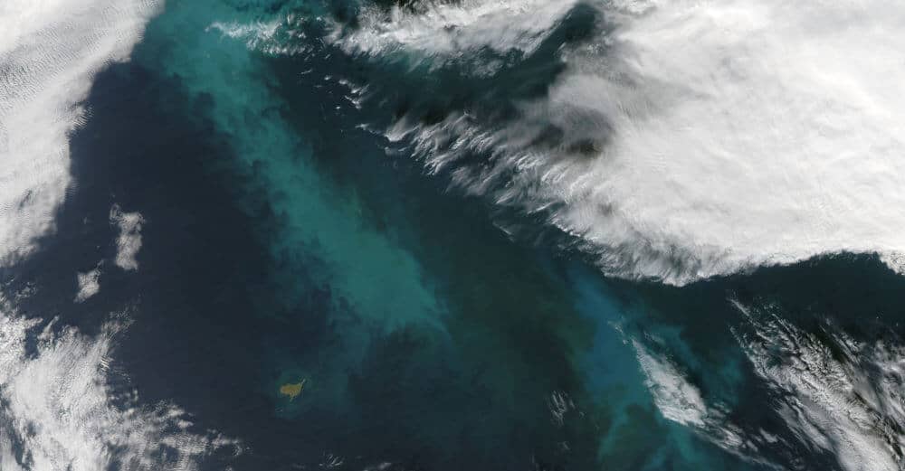 Bacteria feeding on Arctic algae blooms can seed clouds, affect climate ...