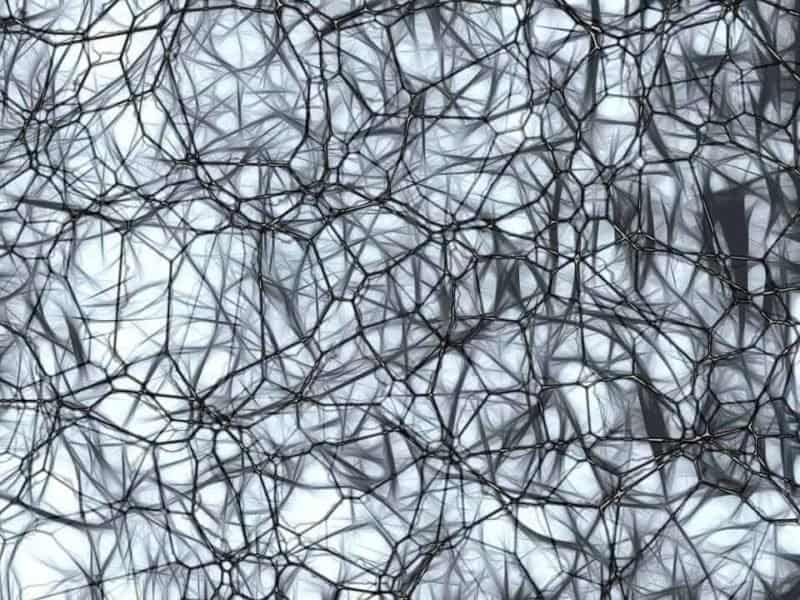 Neurons. Pixabay