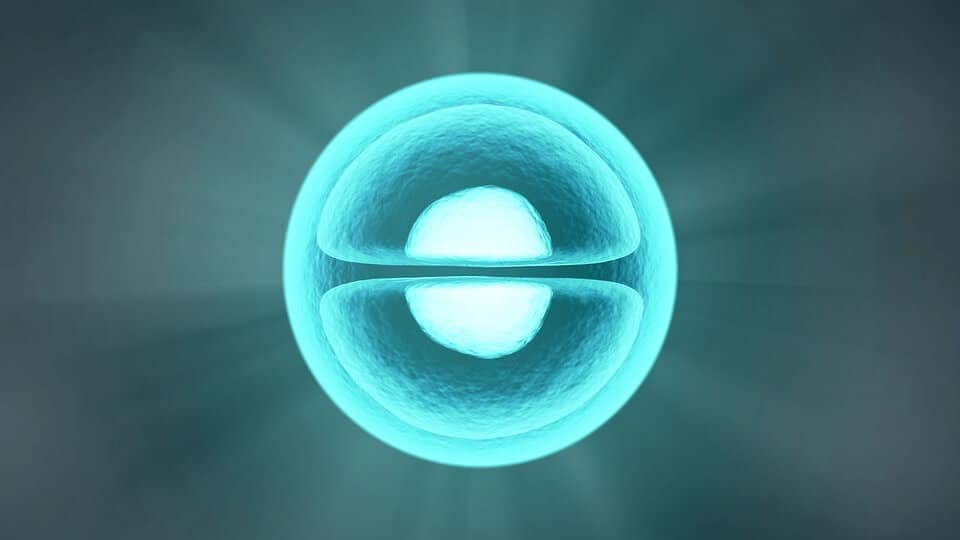 The nanocapsule stays intact outside cells — in the bloodstream, for example — only to fall apart inside the target cell when triggered by a molecule called glutathione.
