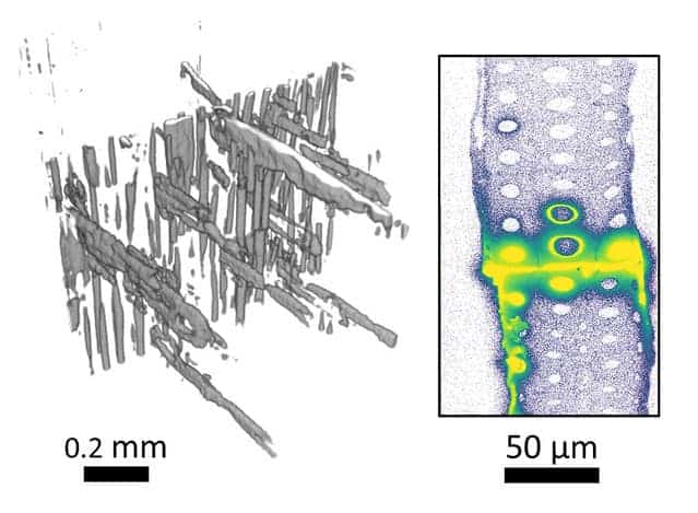 Left: X-ray computed tomography view of the adhesive between two pieces of wood. Right: An X-ray fluorescence microscopy maps adhesive around a glue line. (Forest Service Photo/Forest Products Lab)