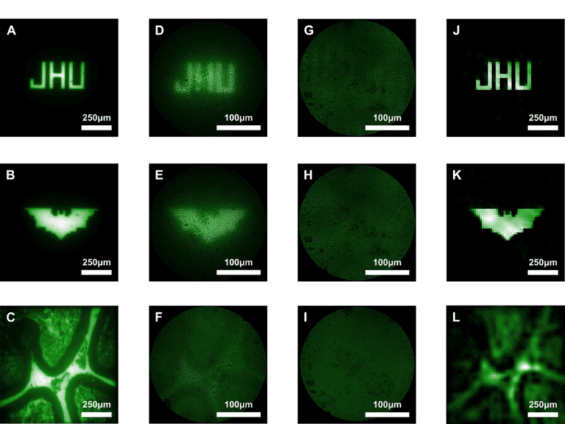 The image above shows imaging results from the study. Images A through C show beads on a slide viewed through a bulk microscope. D through F show the beads as viewed through a conventional, lens-based microendoscope. G through I show the beads as seen by the new lensless microendoscope. These raw images are purposefully scattered, but provide important information about light that can be used in computational reconstruction to create clearer images, shown in J through L.