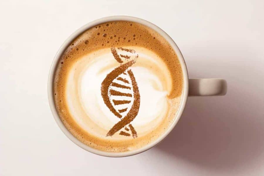 The complex biology behind your love (or hatred) of coffee