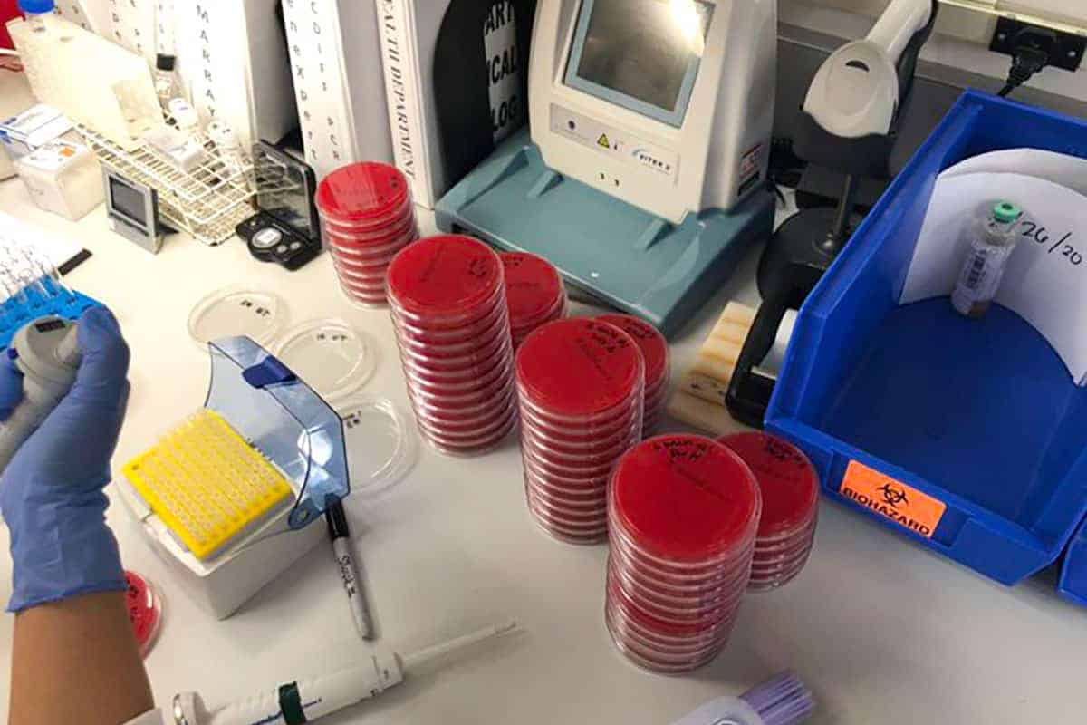 Hospitals reporting shortages of personal protective equipment are looking for ways to sterilize existing equipment.