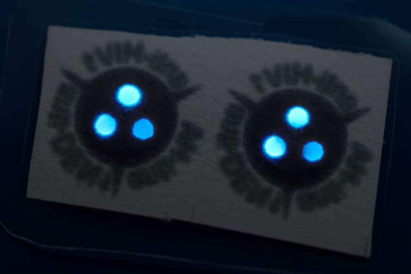 These antibody kits use luciferase, an enzyme used by fireflies to produce their glow, to emit blue light to indicate if an infection is being fought. Image credit - Bart van Overbeeke