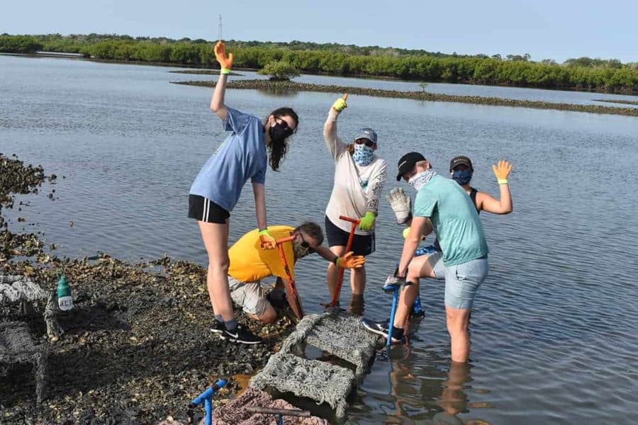 Oyster Reef Restoration Efforts Get Help from Potato Chip Byproduct