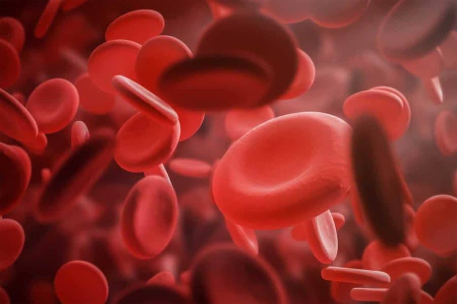 Blood cells illustration