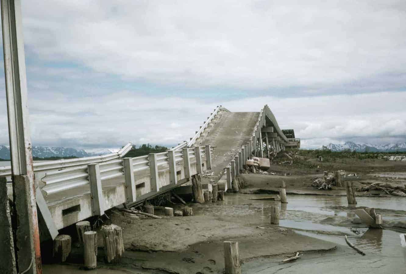Bridges With Limb-Inspired Architecture Could Withstand Earthquakes, Cut Repair Costs