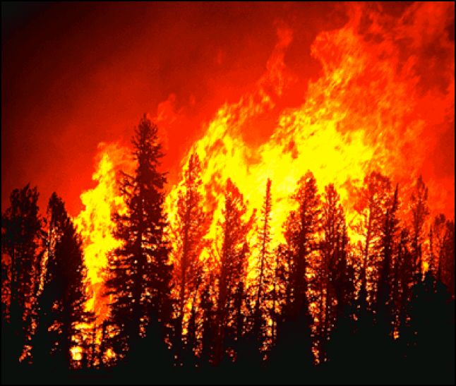 How Wildfires May Have Larger Effects on Cloud Formation and Climate Change