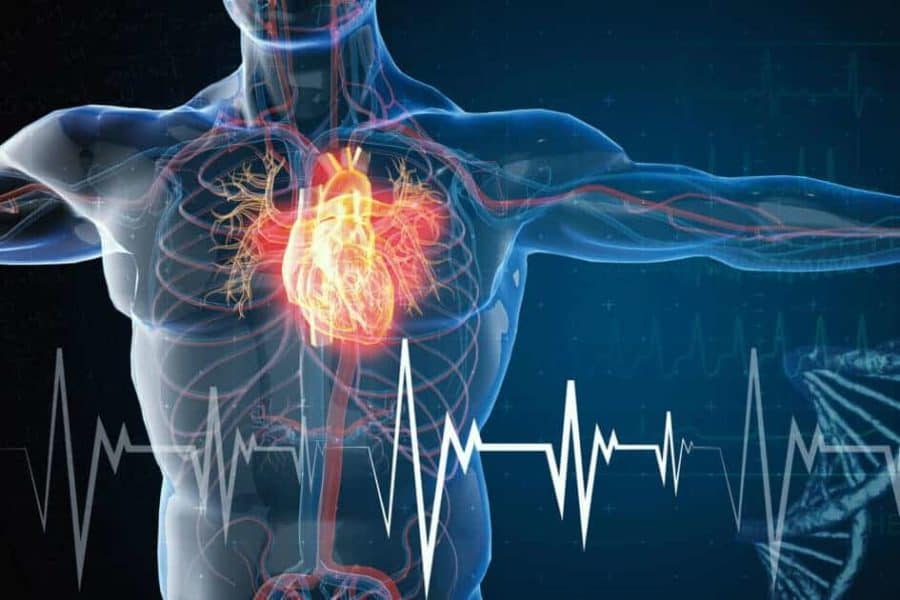 New spray could someday help heal damage after a heart attack