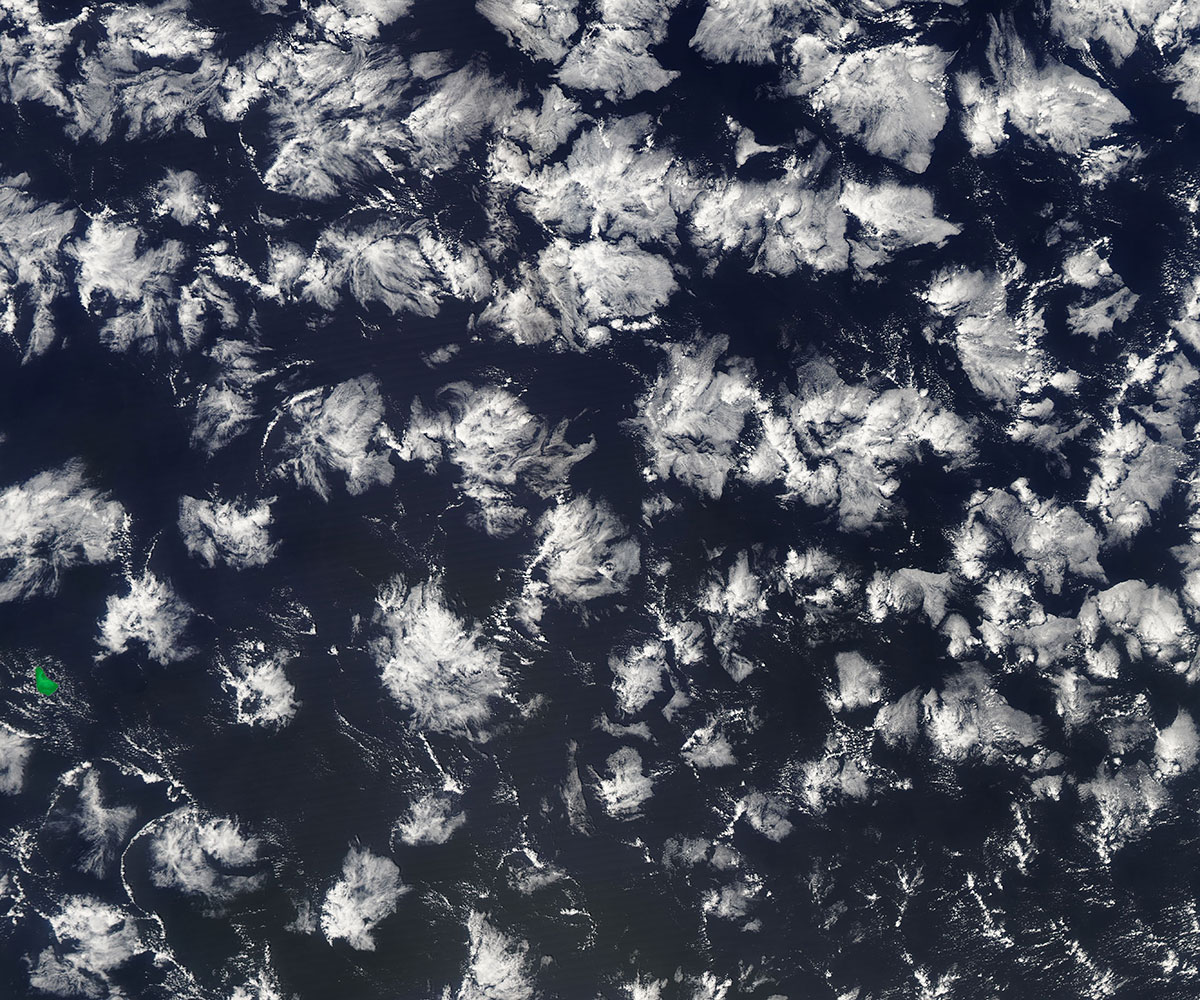 Prof. Siebesma wants to understand whether different cloud shapes like those that resemble gravel, popcorn or these flower-like structures, will change with warmer temperatures. Image credit - NASA Worldview