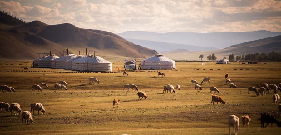 Unfolding 40 million years of Asian steppe history