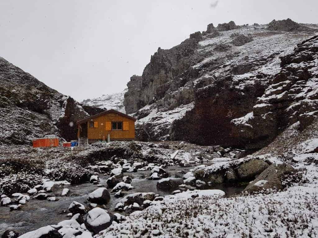 In the Antarctic, a scientist recruits albatrosses to pinpoint illegal fishing boats