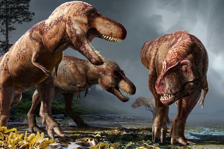 Young T. rexes had a powerful bite, capable of exerting one-sixth the force  of an adult - ScienceBlog.com