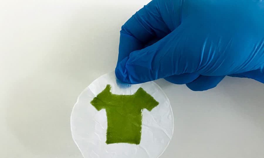 Will your future clothes be made of algae?