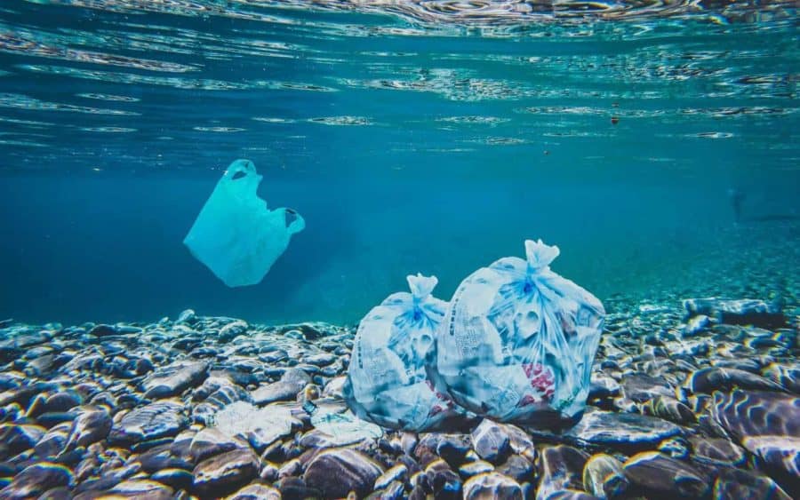Engineered protein inspired by nature may help plastic plague