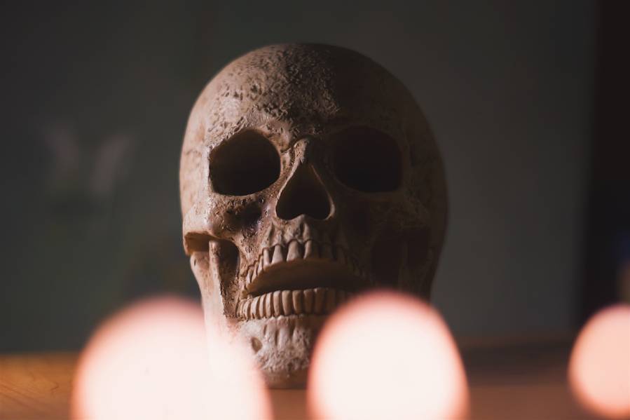 New study finds fresh evidence for our inevitable death