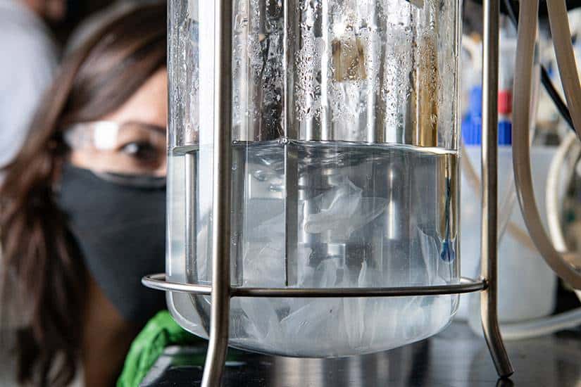 An NREL researcher observes visible changes in bioreactors used to test enzymatic degradation of PET plastic. In reactors loaded with less enzyme, the liquid appears unclouded and the plastic remains transparent. In reactors loaded with more enzyme, the liquid is cloudy and the plastic becomes opaque, as shown here. Photo by Dennis Schroeder, NREL