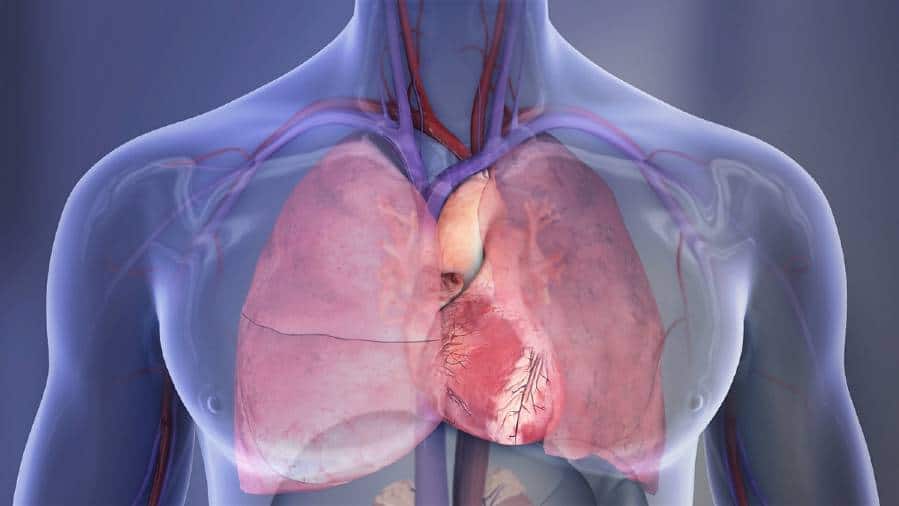 Receiving a heart from a donor who used illicit drugs does not impact the recipient’s survival, according to a group of researchers from Virginia, Arizona and Indiana.