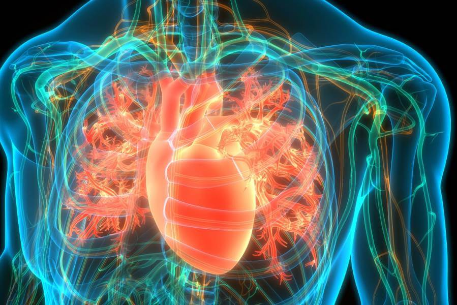 EPA significantly reduces cardiovascular events