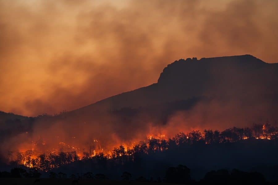 Researchers studied bushfire incidences from 2012 to 2020 within eastern Australia, and found that the severe megafires that occurred during 2019-20 were much larger and more concentrated across the landscape than in previous years. IMAGE: MATT PALMER, UNSPLASH