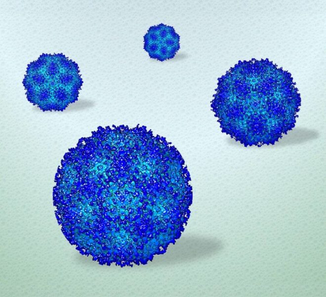 Penn State researchers used electron microscopy to procure the first high-resolution view of viruses in a liquid environment. The visualization can reveal information about the structure and dynamics of soft materials in real time, while the 3D reconstruction (pictured here) can confirm the findings. IMAGE: DEB KELLY/PENN STATE