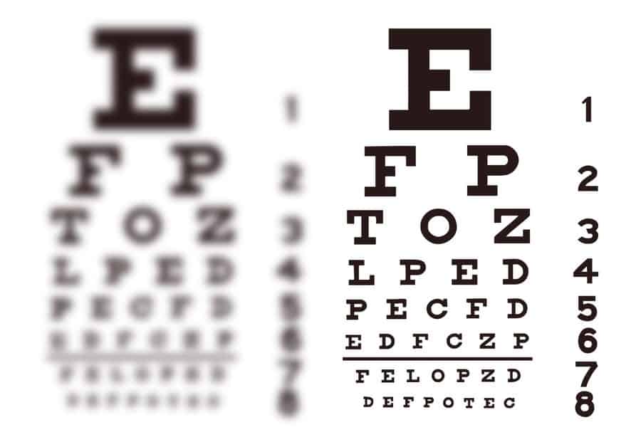 Novel approach reverses amblyopia in animals Novel approach reverses amblyopia in animals