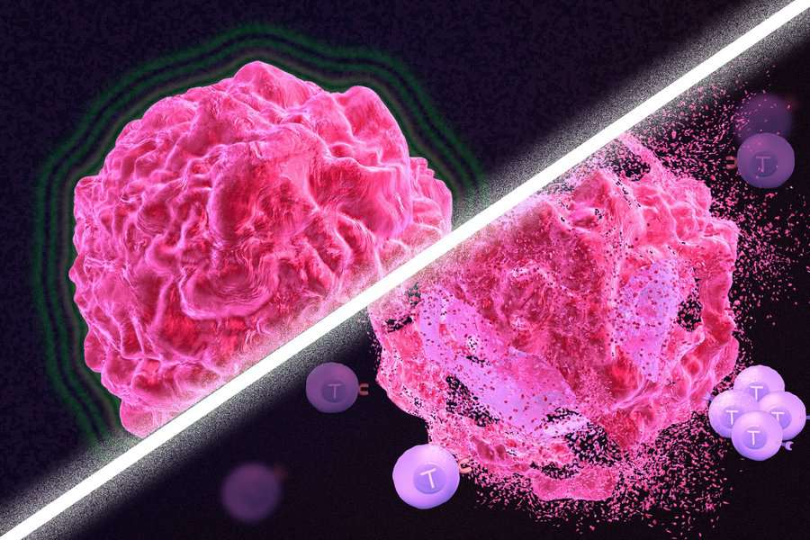 new-cancer-treatment-may-reawaken-the-immune-system-scienceblog