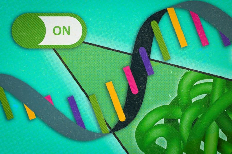 Engineers devise a way to selectively turn on RNA therapies in human cells