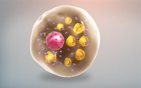 How Glycogen is Linked to Heat Generation in Fat Cells