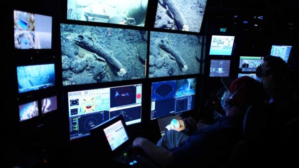 Researchers recover mammoth tusk during deep-sea expedition