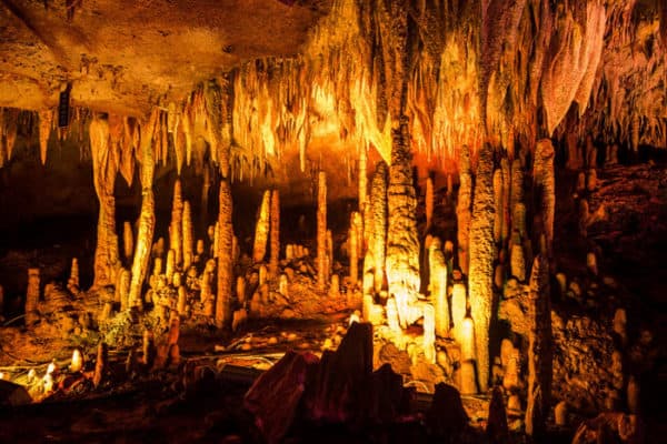 Ancient Liangzhu culture collapsed due to climate change