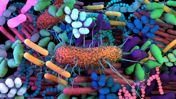 Differences in gut microbiome linked to risk of death in COVID-19 patients