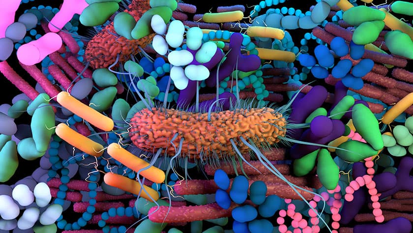 Common drugs affect our gut microbiome differently, with good and bad impacts on health