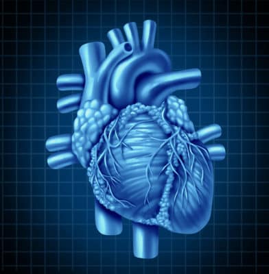 Researchers find benefits and drawbacks to two-step surgical approach for “leaky heart valves”