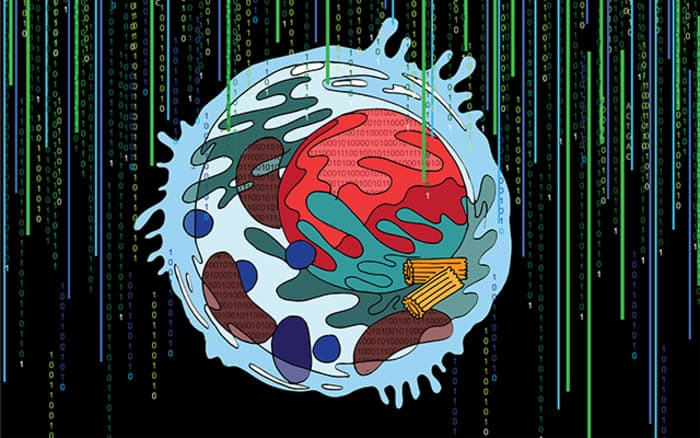 Shocker: Half of cell&#8217;s components are unknown to science