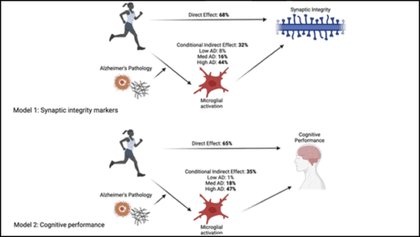 Physical activity may improve Alzheimer’s outcomes by lowering brain inflammation