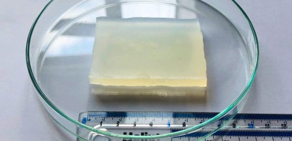 ‘Super jelly’ can survive being run over by a car ‘Super jelly’ can survive being run over by a car