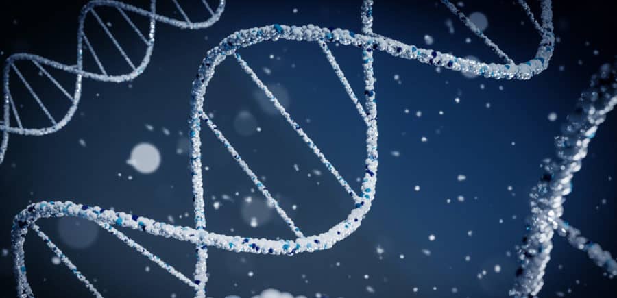 Scientists investigating the DNA outside our genes - the ‘dark genome’ - have discovered recently evolved regions that code for proteins associated with schizophrenia and bipolar disorder.