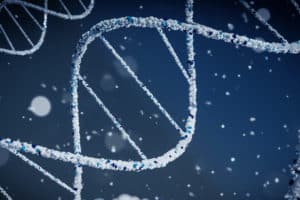 Scientists investigating the DNA outside our genes - the ‘dark genome’ - have discovered recently evolved regions that code for proteins associated with schizophrenia and bipolar disorder.