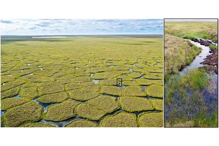 Permafrost degradation in northern Alaska.