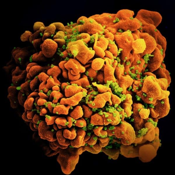 NIH celebrates FDA approval of long-acting injectable drug for HIV prevention