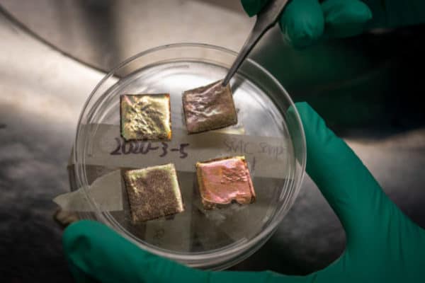 Samples of the temperature-adaptive radiative coating. The material looks like Scotch tape and can be affixed to a rooftop. (Credit: Thor Swift/Berkeley Lab)