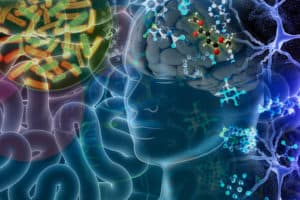 Scientists identify gut-derived metabolites that play a role in neurodegeneration