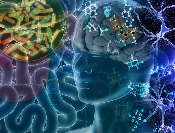 Scientists identify gut-derived metabolites that play a role in neurodegeneration