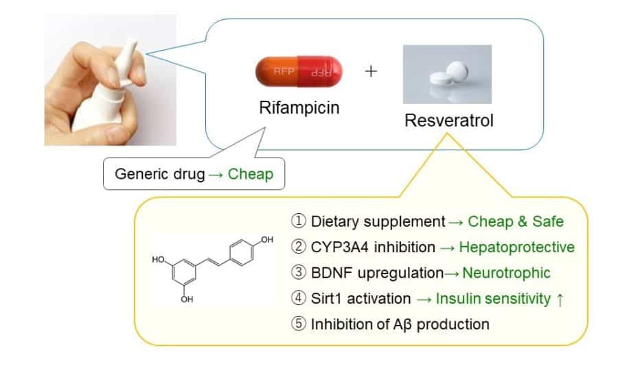 Stopping dementia at the nose with combination of rifampicin and resveratrol