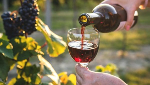 Cover crops make vineyards more sustainable; strategy can be marketing tool Cover crops make vineyards more sustainable; strategy can be marketing tool